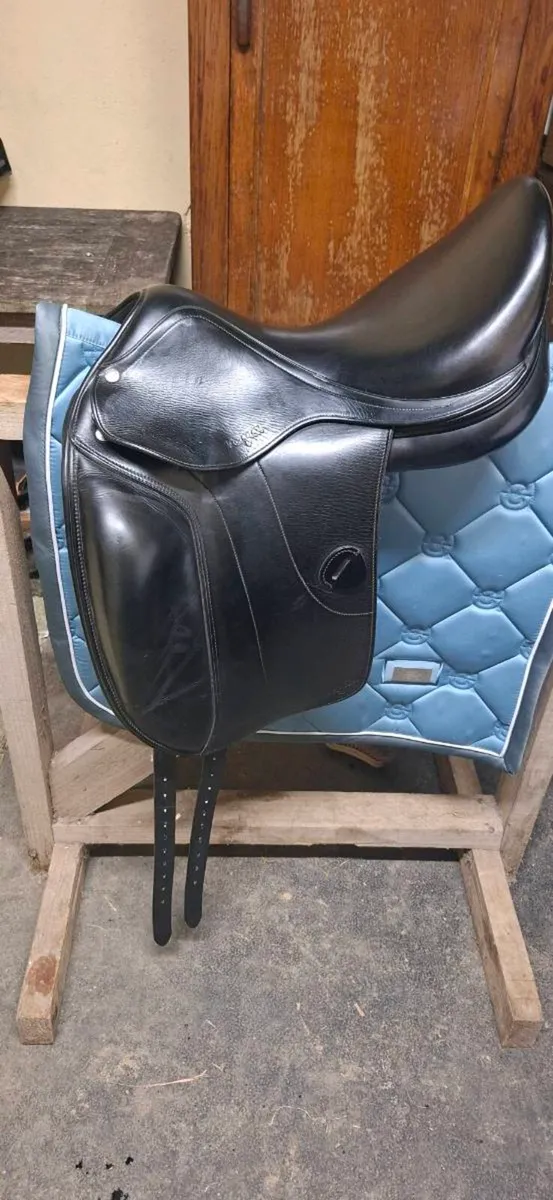Amerigo Vega dressage saddle - Image 1