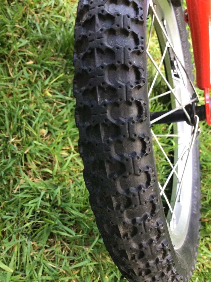 MAGNIFICENT RIDGEBACK Child’s Bike. - Image 3