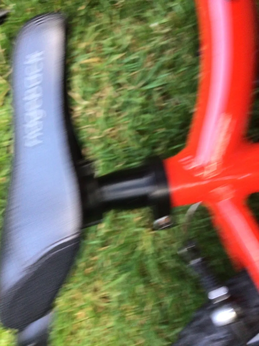 MAGNIFICENT RIDGEBACK Child’s Bike. - Image 4