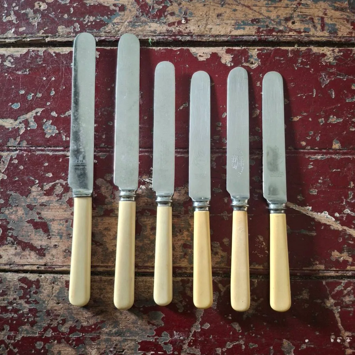 Faux Bone Handle Knives - Image 1