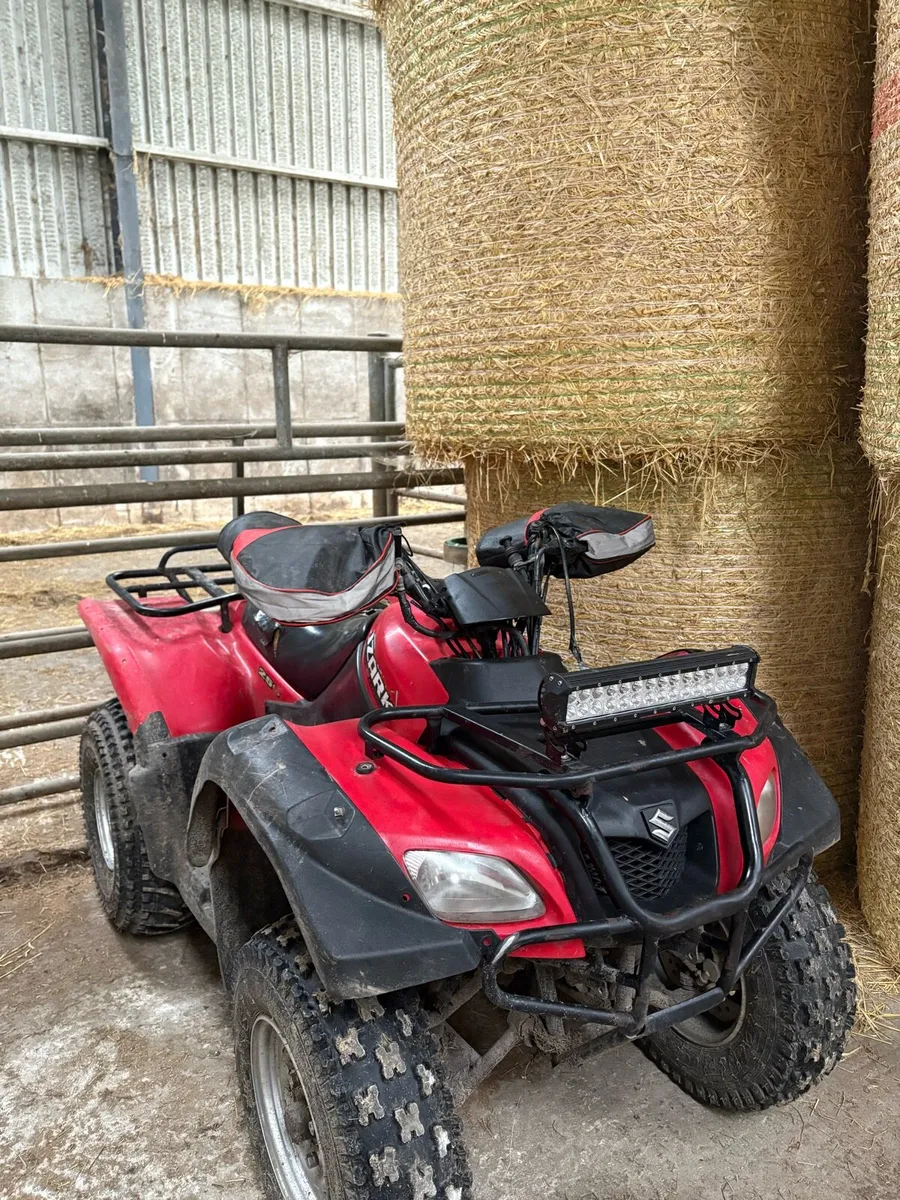Suzuki ozark 250 - Image 1