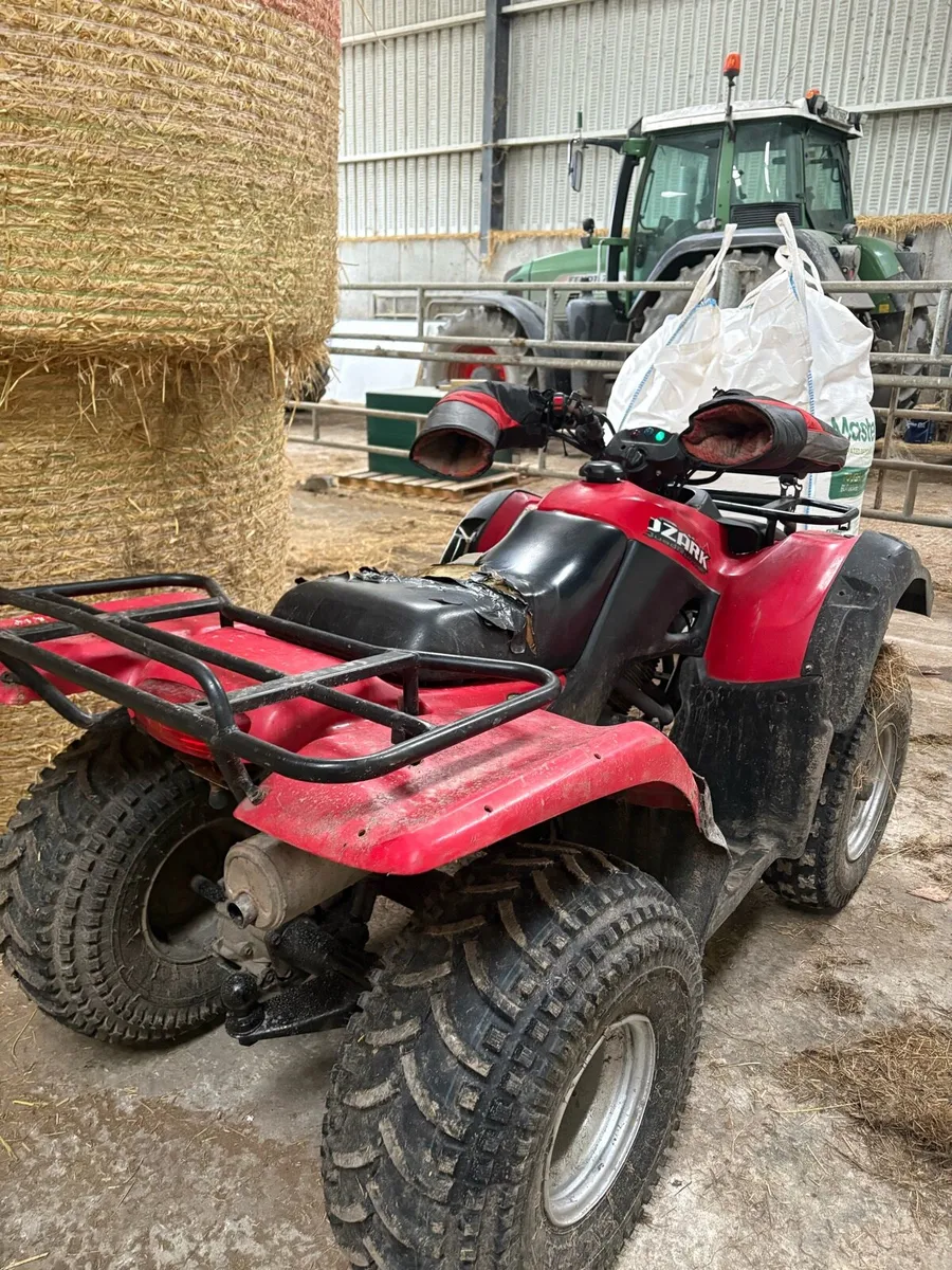 Suzuki ozark 250 - Image 2