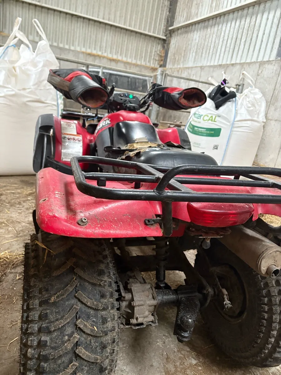 Suzuki ozark 250 - Image 4