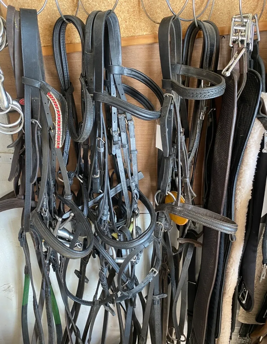 PONY COB SIZE TACK & ACCESSORIES - Image 1
