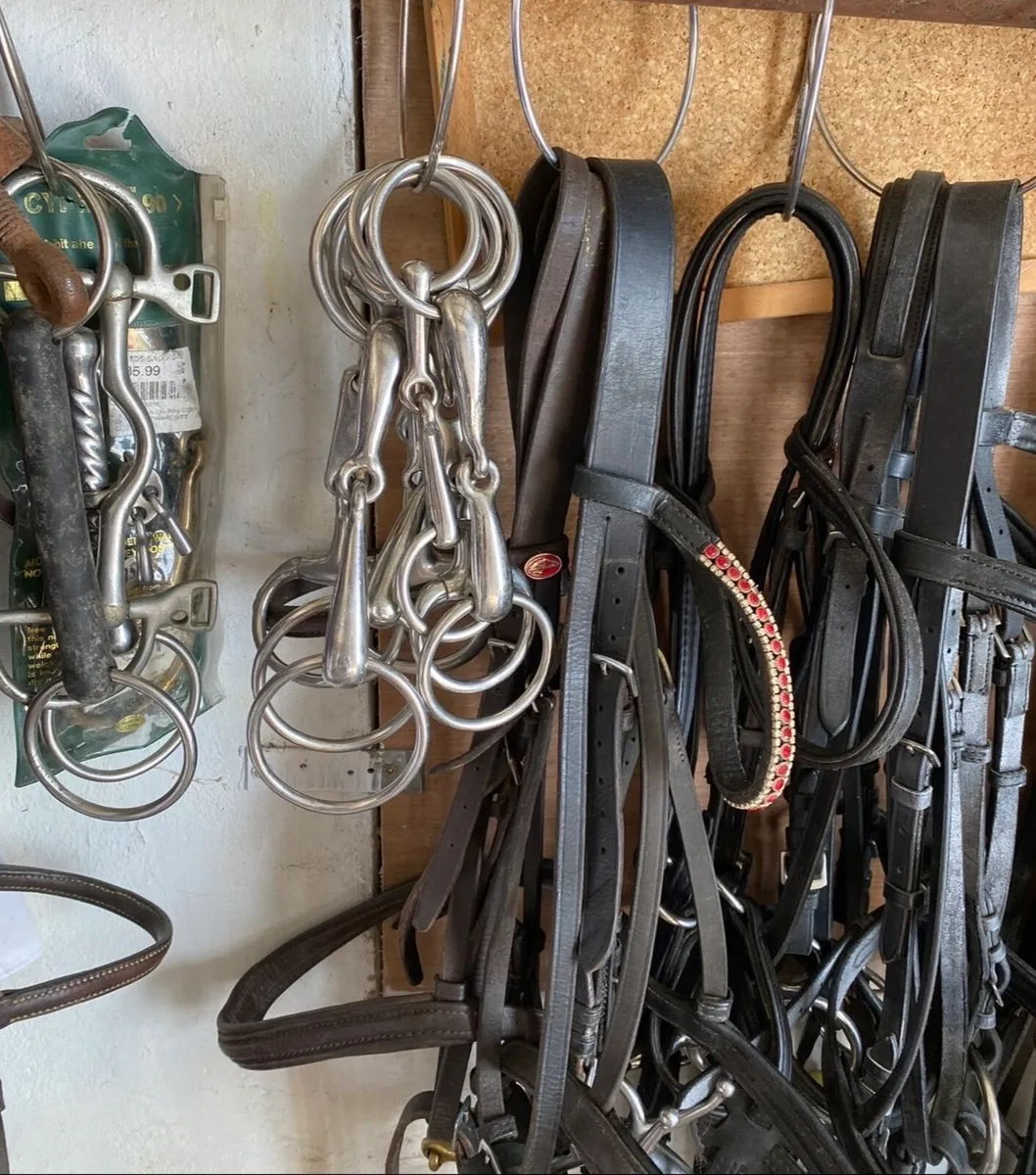 PONY COB SIZE TACK & ACCESSORIES - Image 2