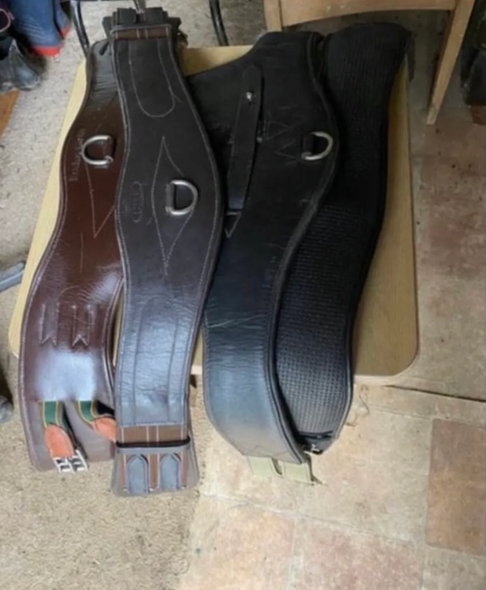 PONY COB SIZE TACK & ACCESSORIES - Image 3