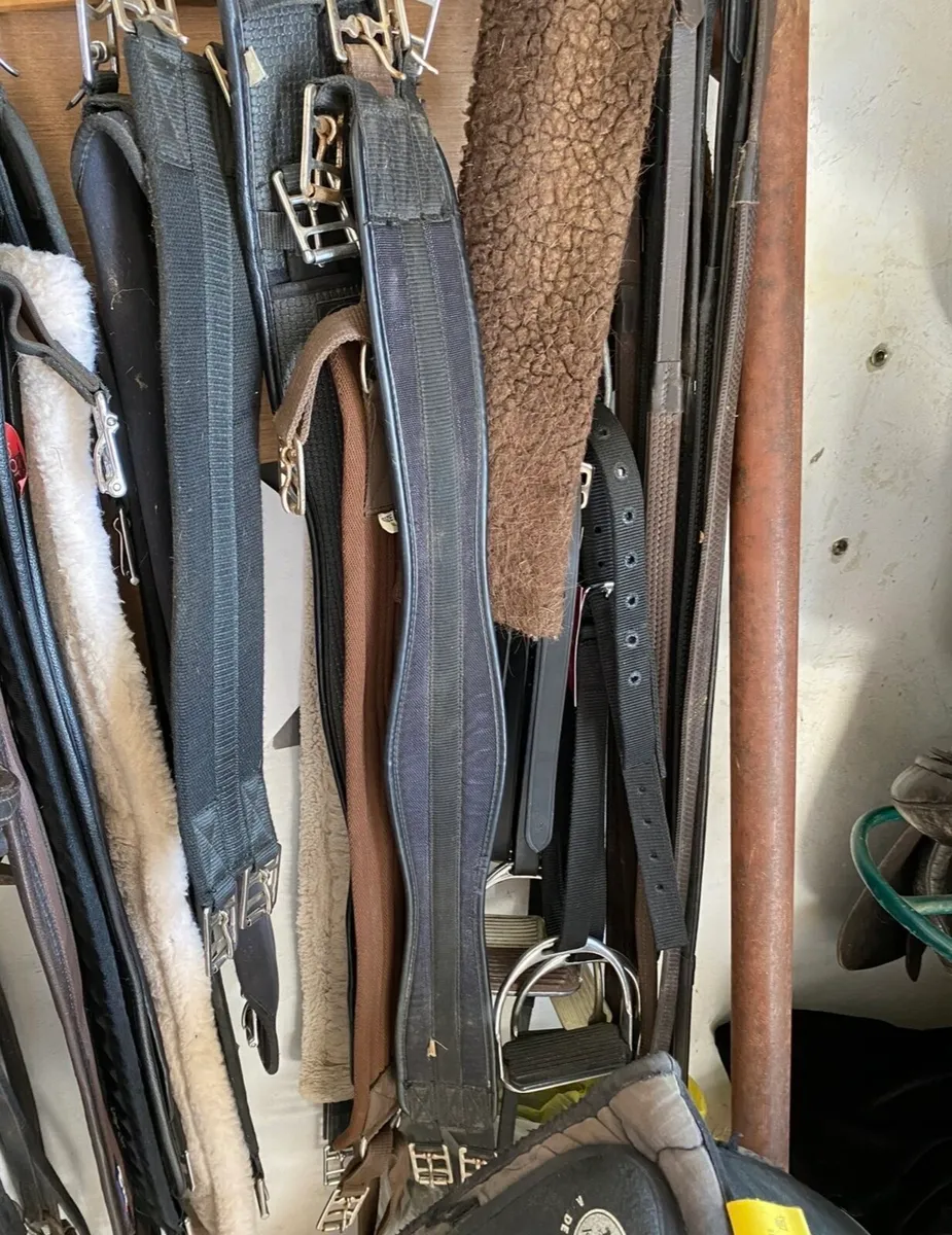 PONY COB SIZE TACK & ACCESSORIES - Image 4