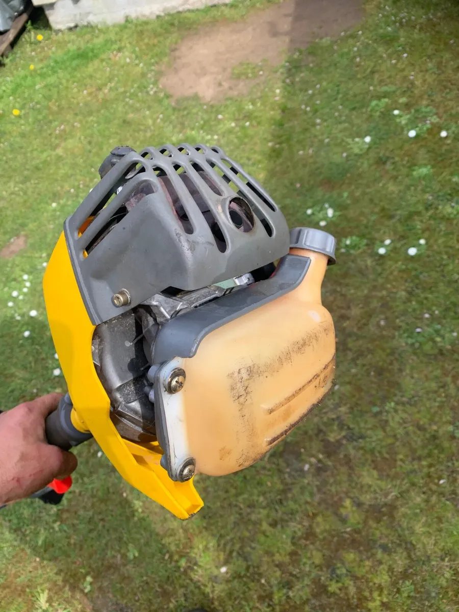 Strimmer Dynamac-Efco - Image 1