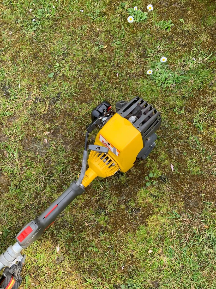 Strimmer Dynamac-Efco - Image 3