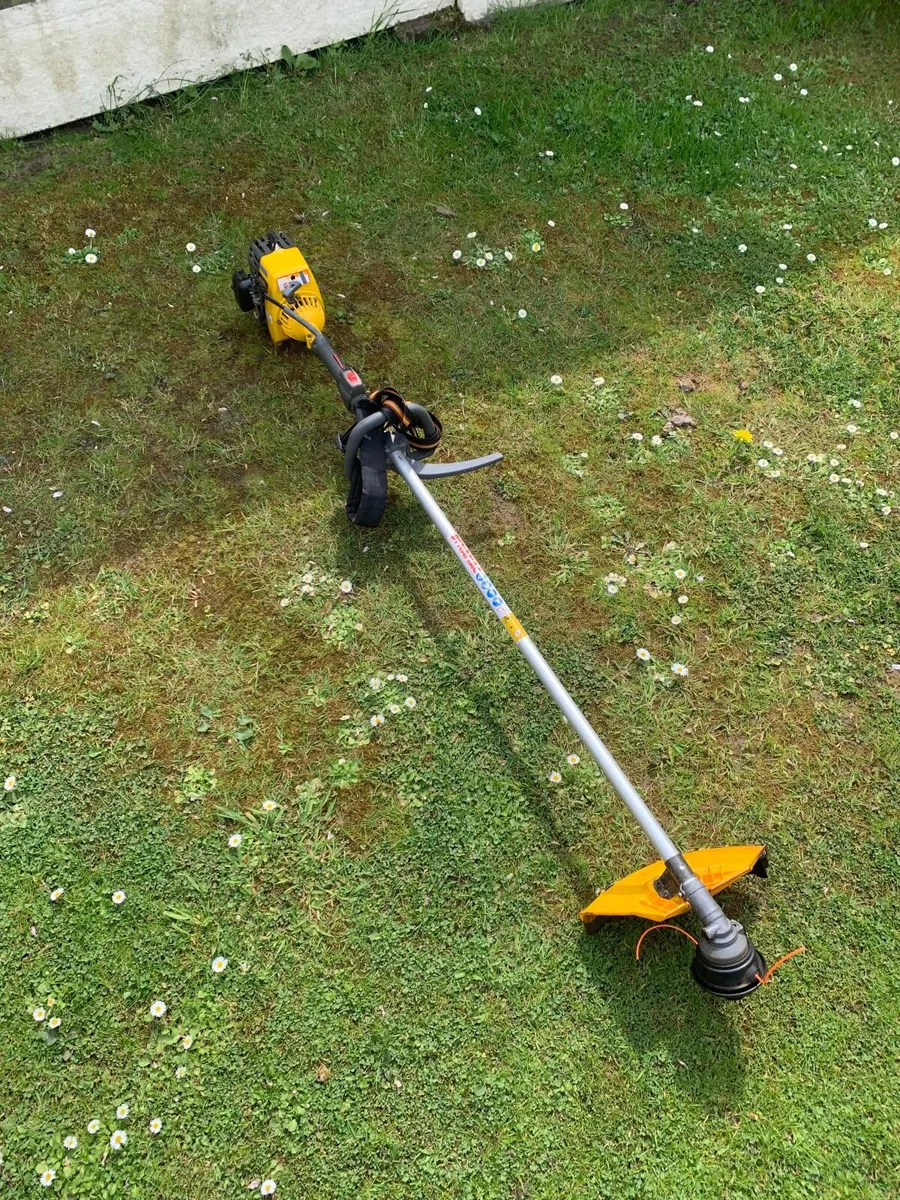 Strimmer Dynamac-Efco - Image 2