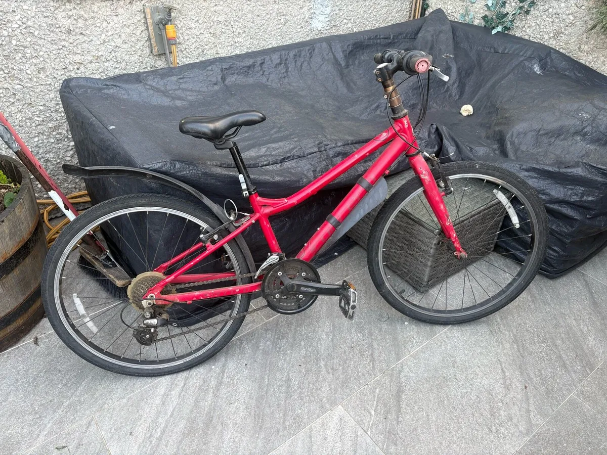 carrera bike . Kids