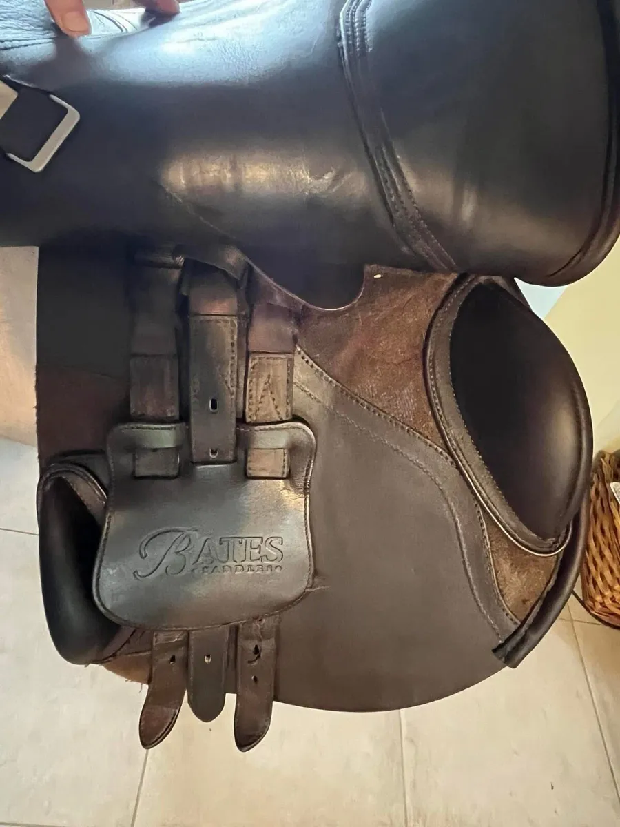 Bates Elevation DS Jumping saddle - Image 4