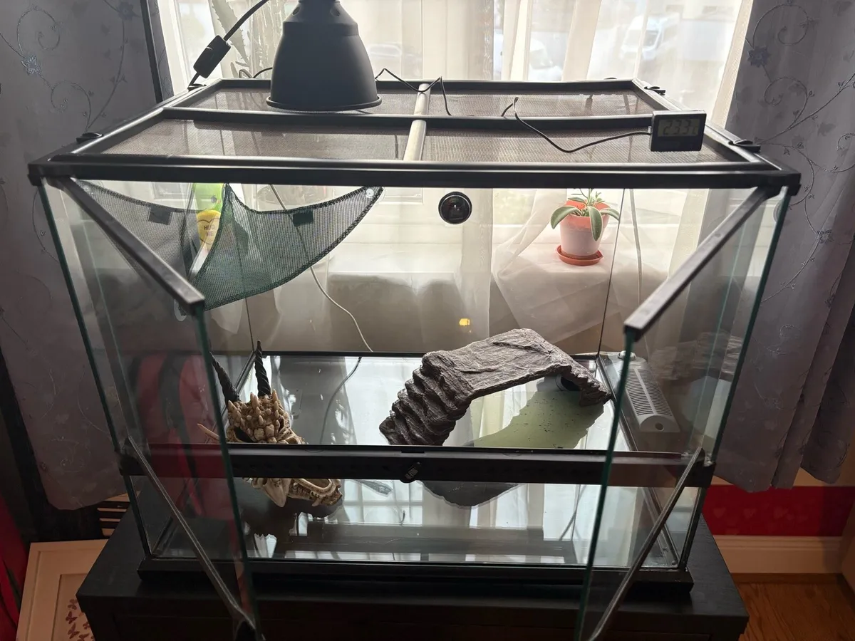 Exo Terra Medium Wide reptile set up - Image 2