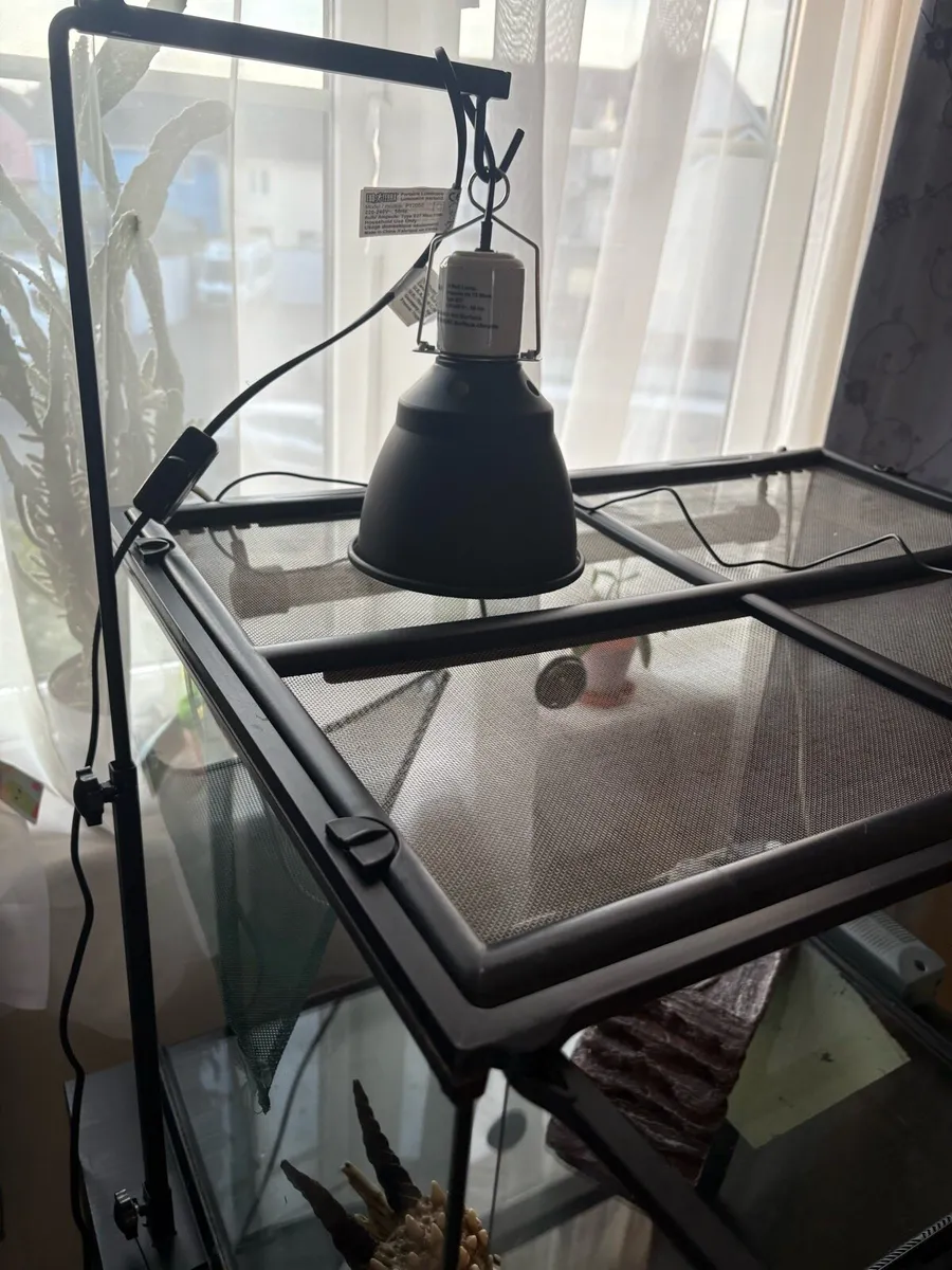 Exo Terra Medium Wide reptile set up - Image 4