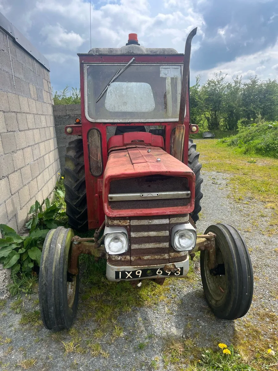 Massey Ferguson 135 - Image 2