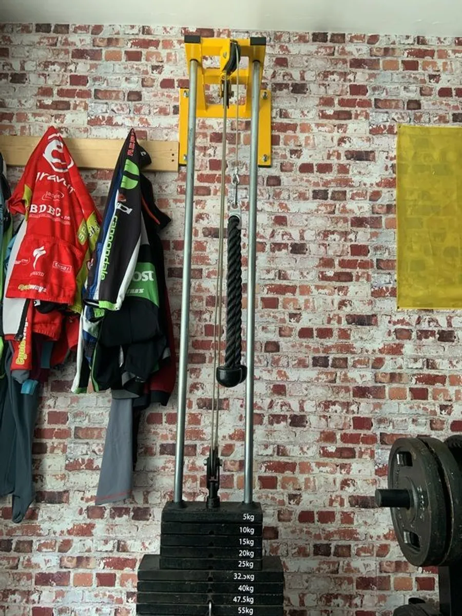 sports - Image 4