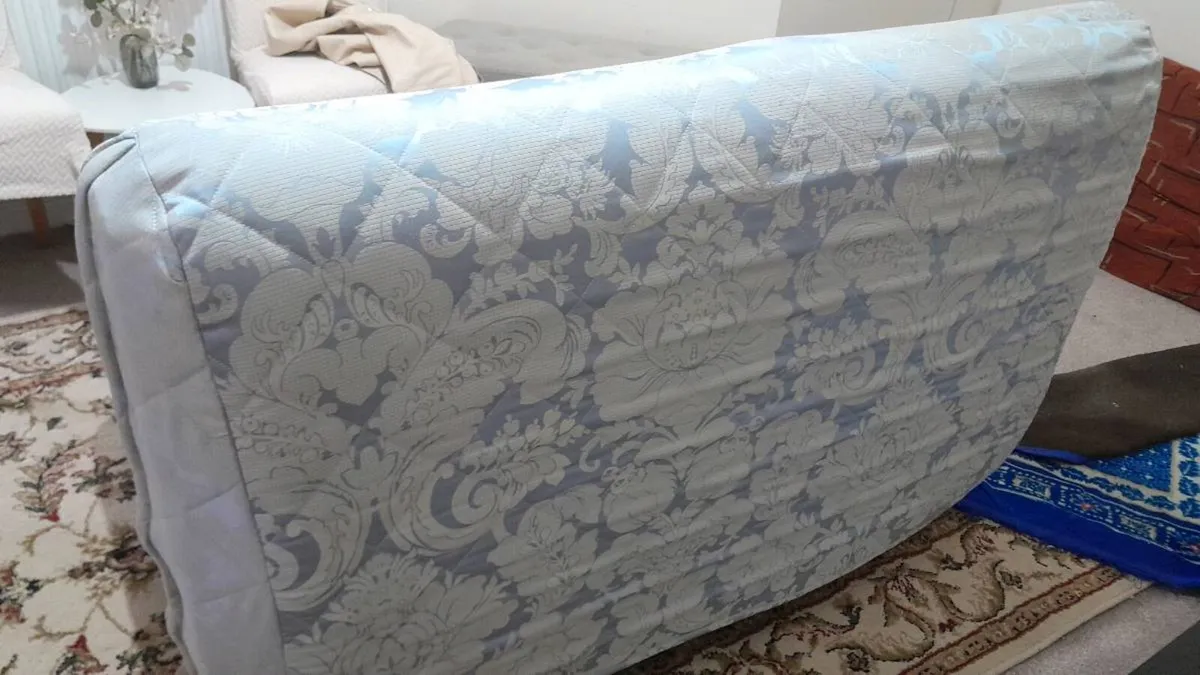 Sofa cum bed - Image 1