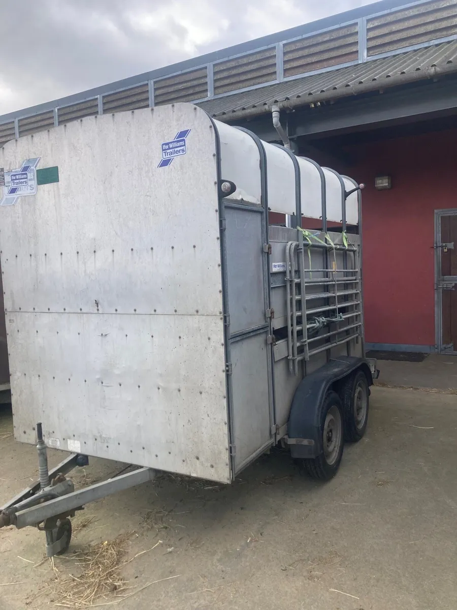 Horse/cattle Box high roof 7ft🐴10ft long - Image 1