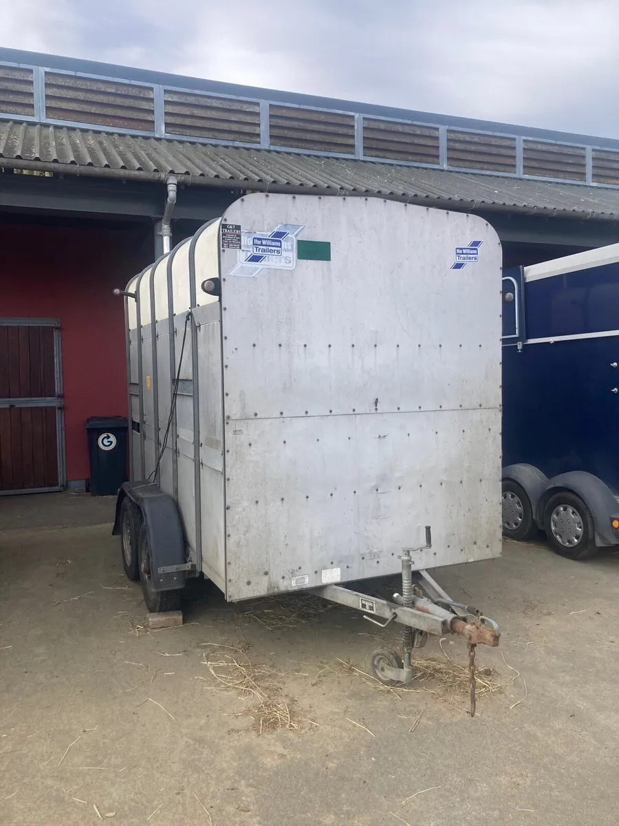 Horse/cattle Box high roof 7ft🐴10ft long - Image 3