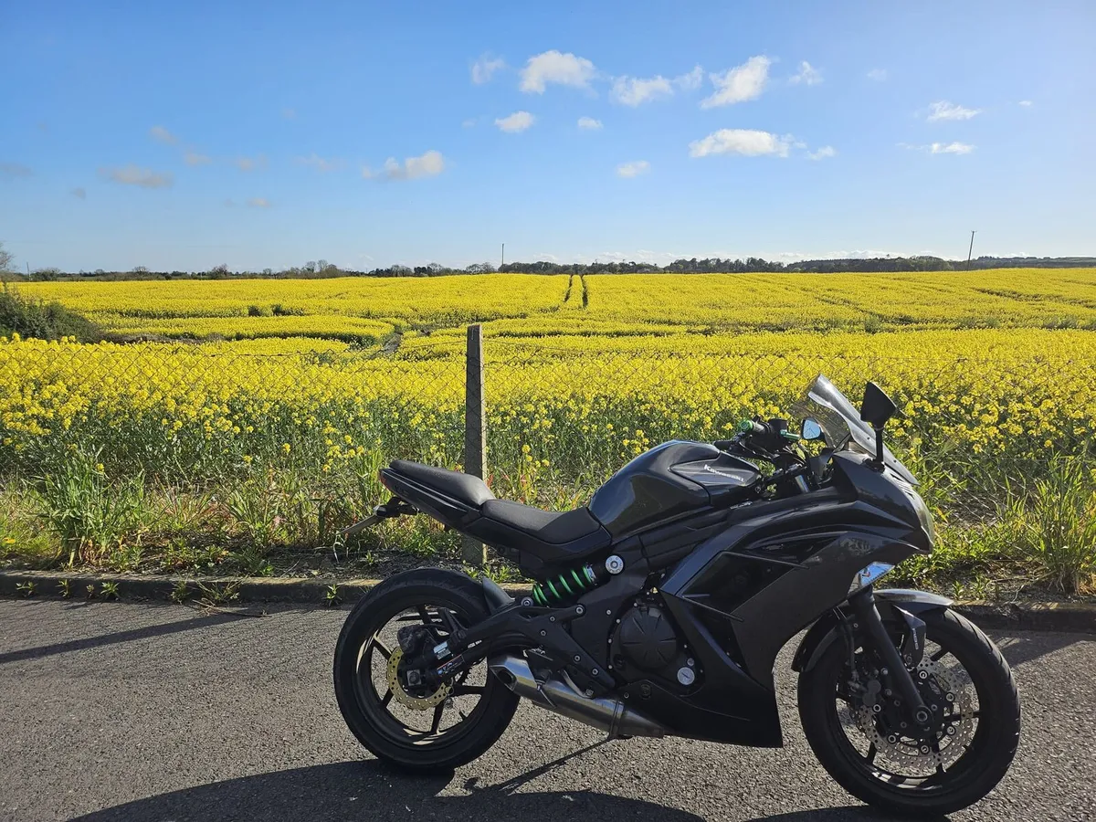 Kawasaki ER6F 2017 - Image 1