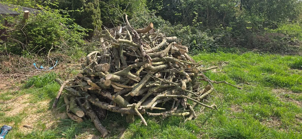 Firewood