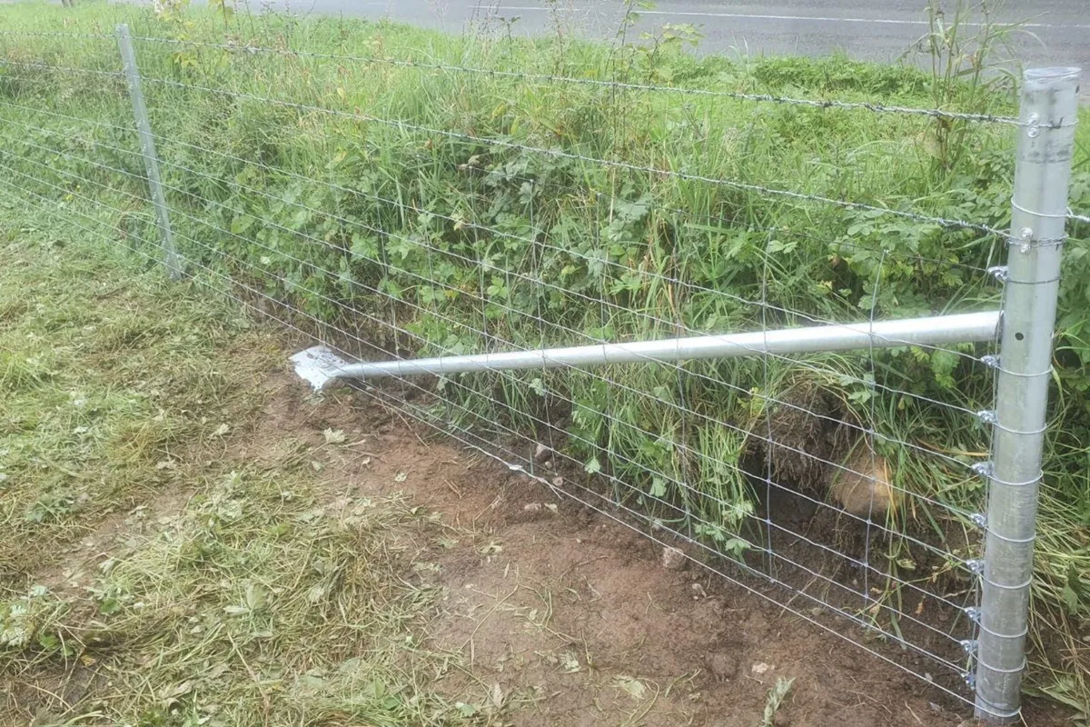 Fencing Contractor - Image 1