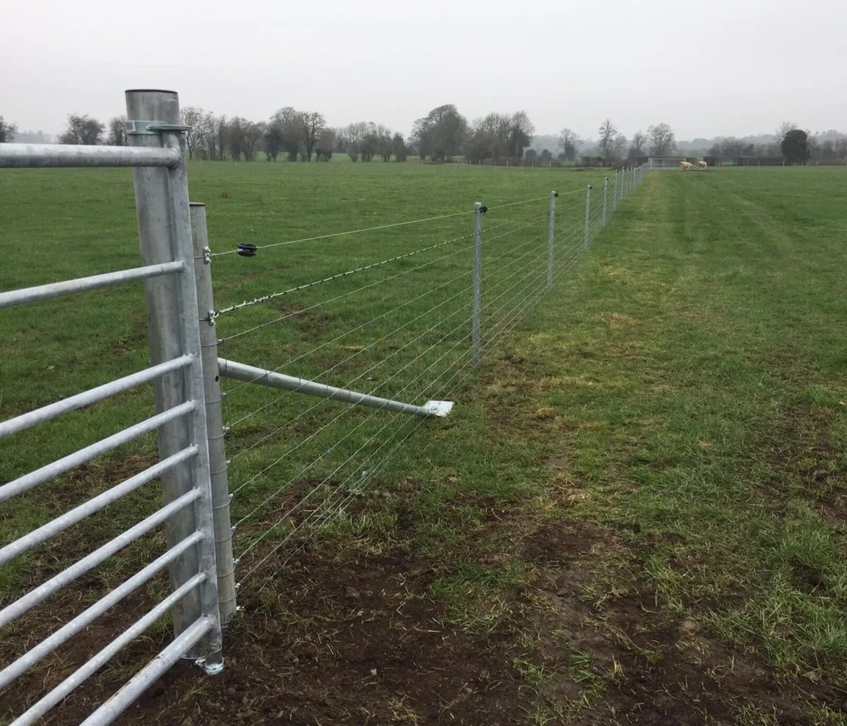 Fencing Contractor - Image 2