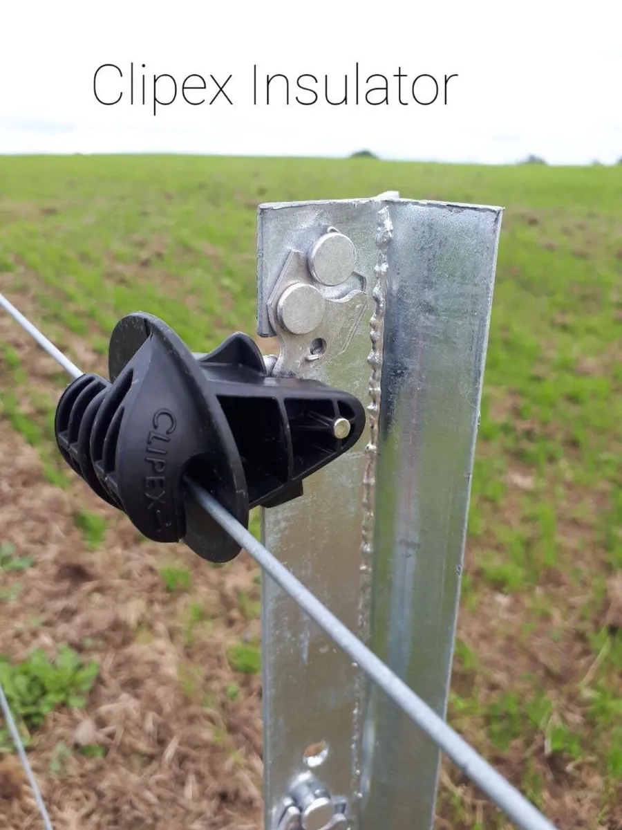 Fencing Contractor - Image 3
