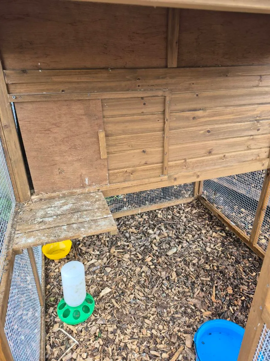 Chicken coop - Image 2
