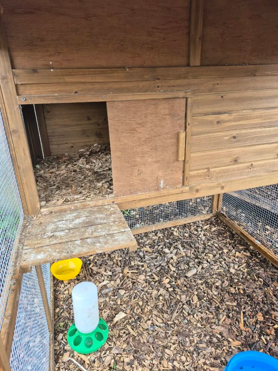 Chicken coop - Image 3