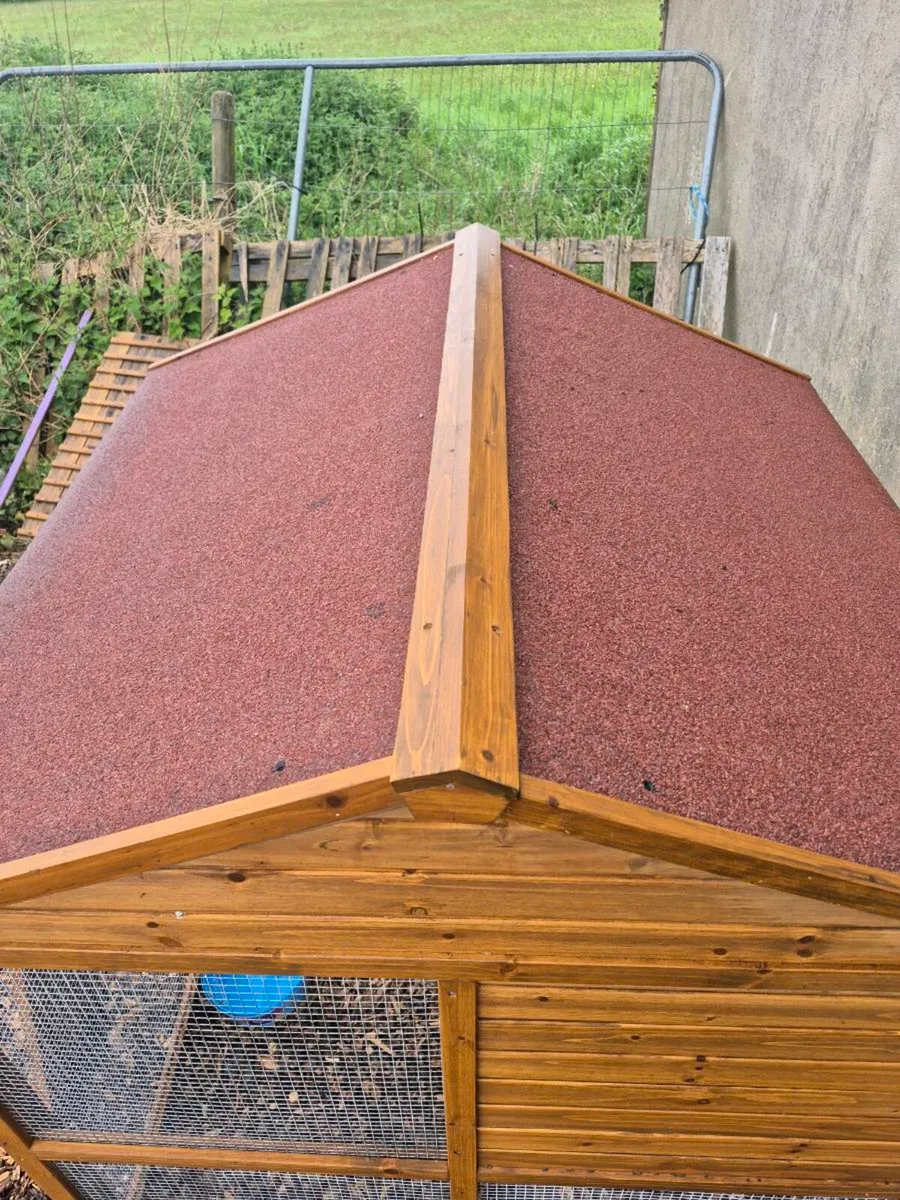 Chicken coop - Image 4