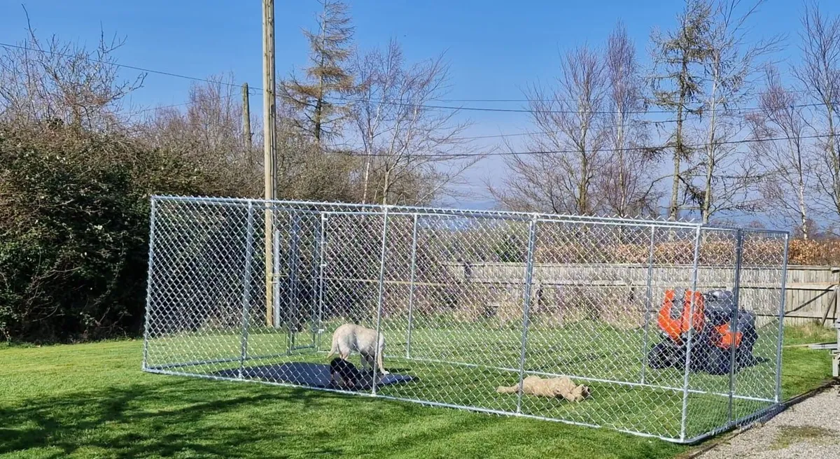 Dog run
