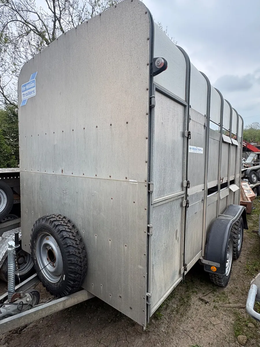 Ifor Williams 12ft high roof cattle trailer - Image 1