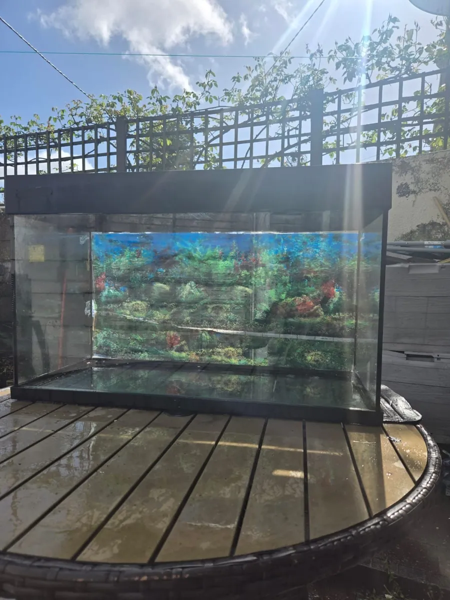Aquarium - Image 1