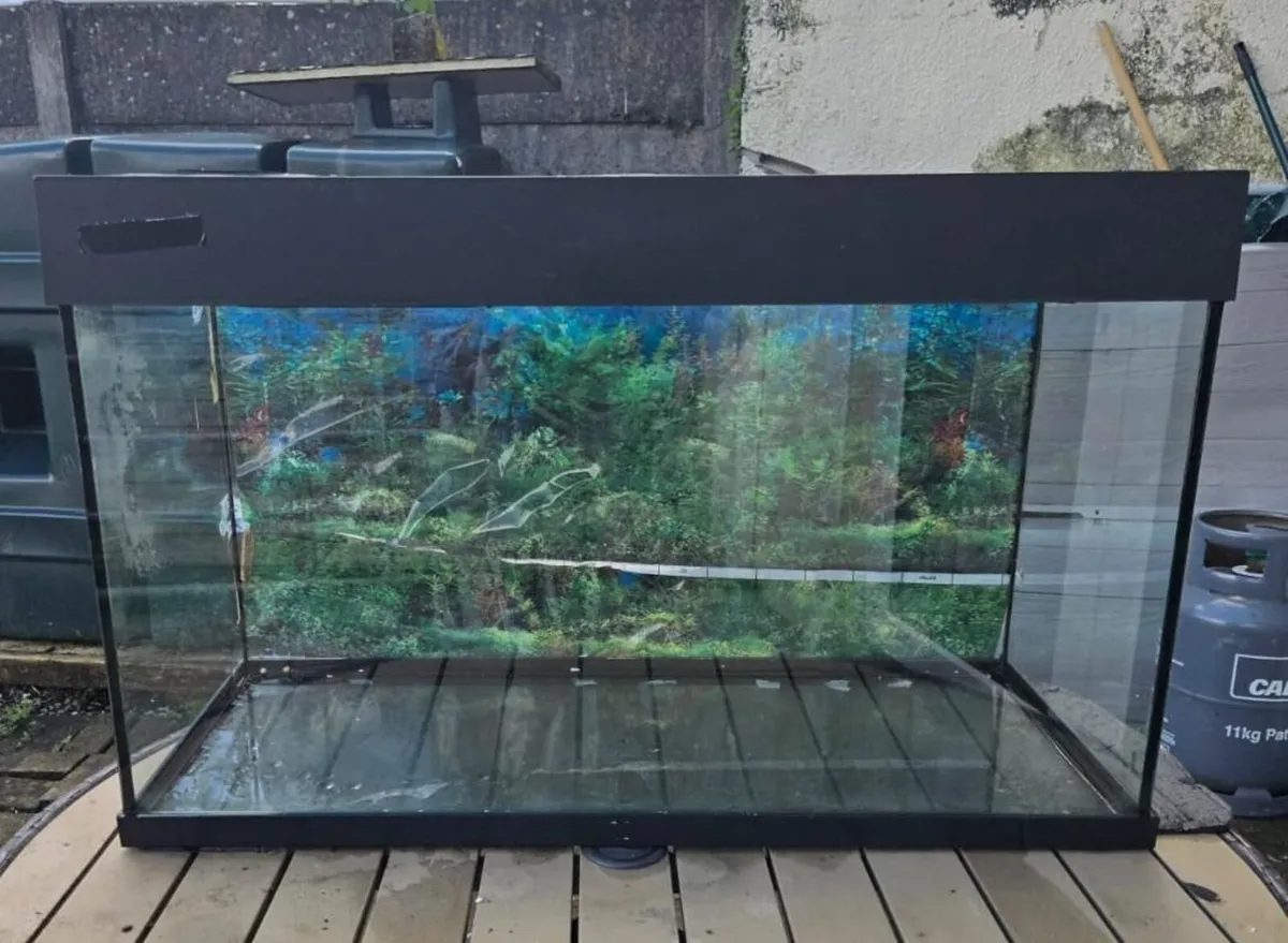 Aquarium - Image 2
