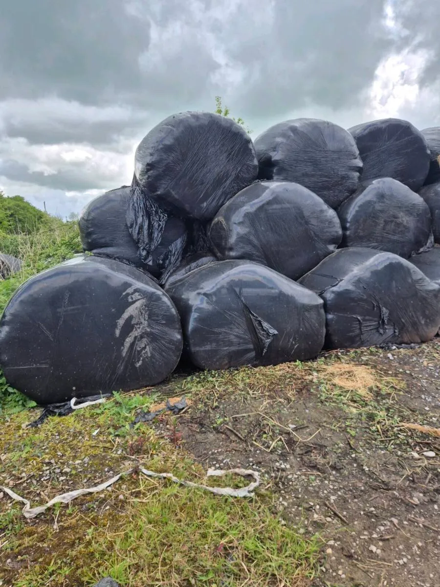 Silage bales