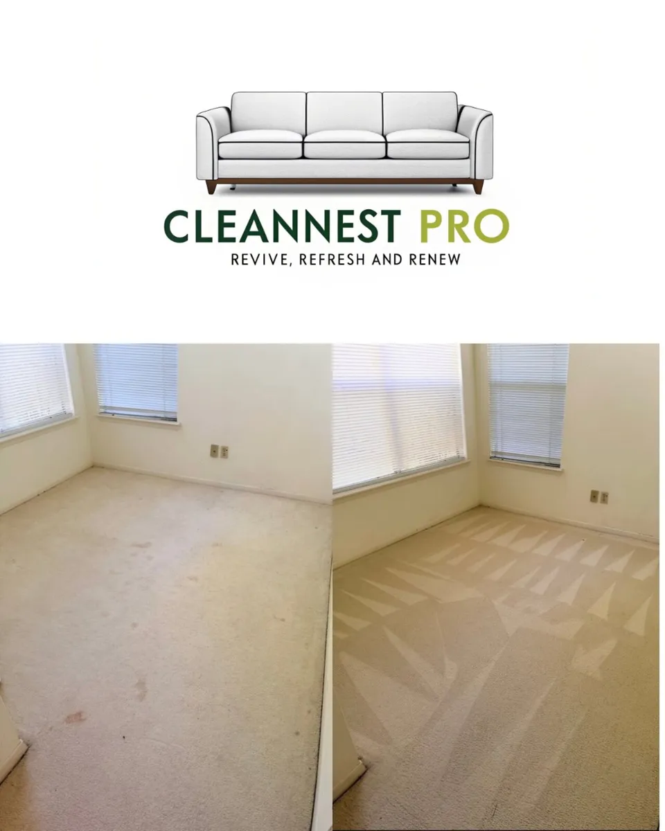 Professional Carpet & Upholstery Cleaning – Cork & - Image 4