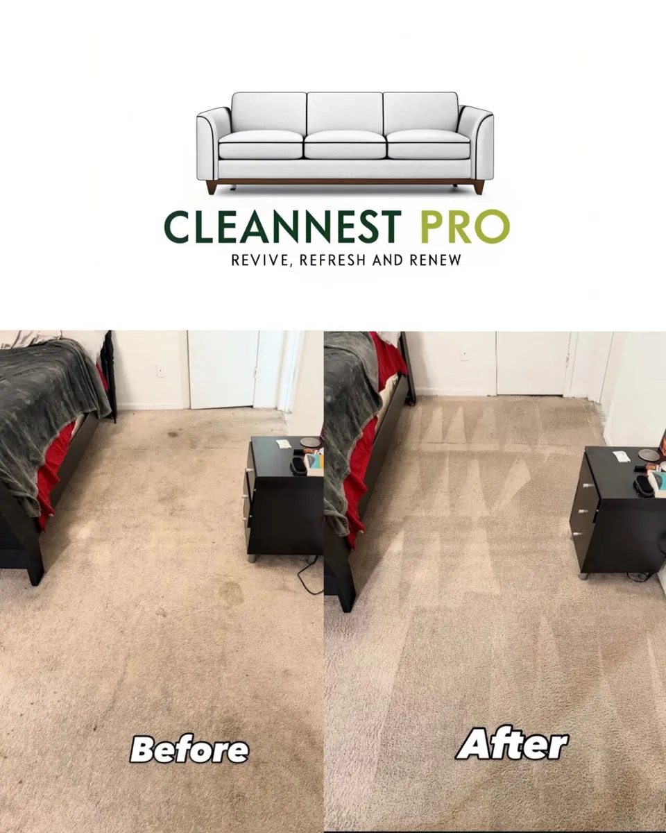 Professional Carpet & Upholstery Cleaning – Cork & - Image 1