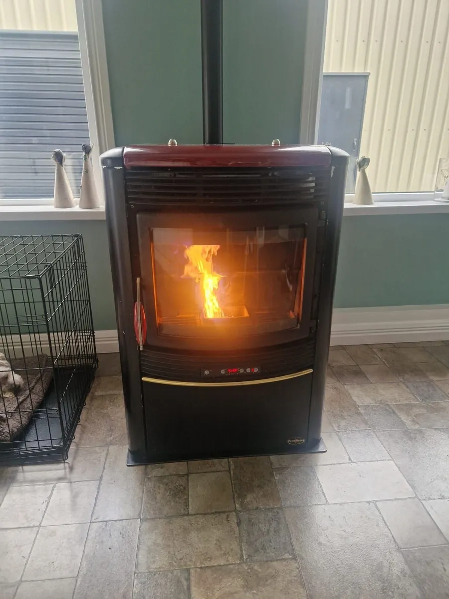 Extraflame wood pellet boiler - Image 1