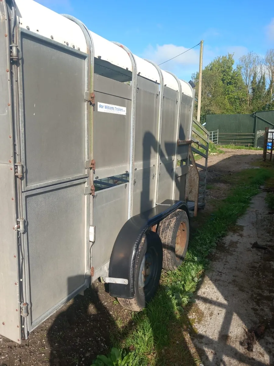 Cattle Trailer - Image 3