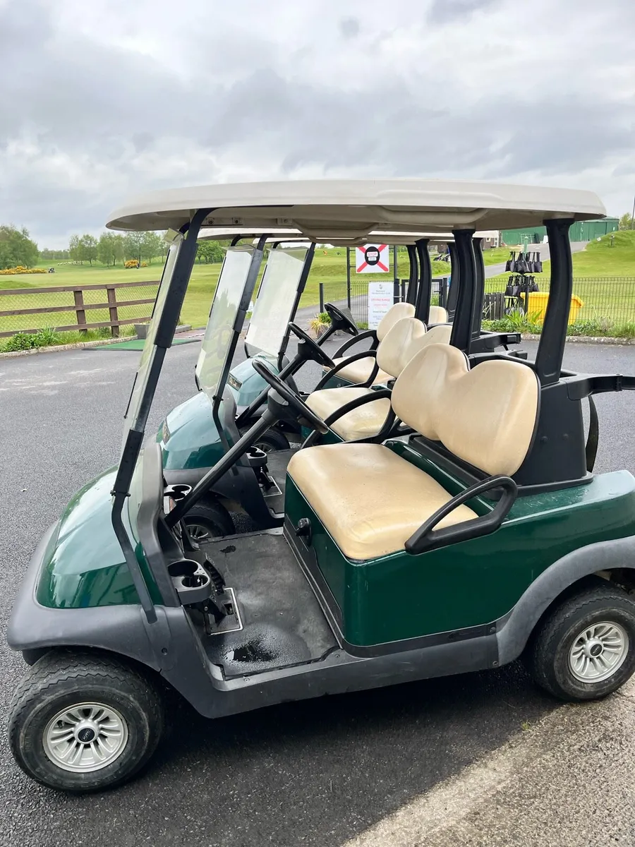 2016 Petrol Golf Buggy. - Image 4