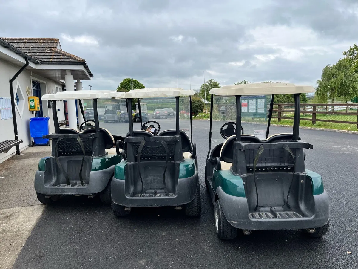 2016 Petrol Golf Buggy. - Image 2