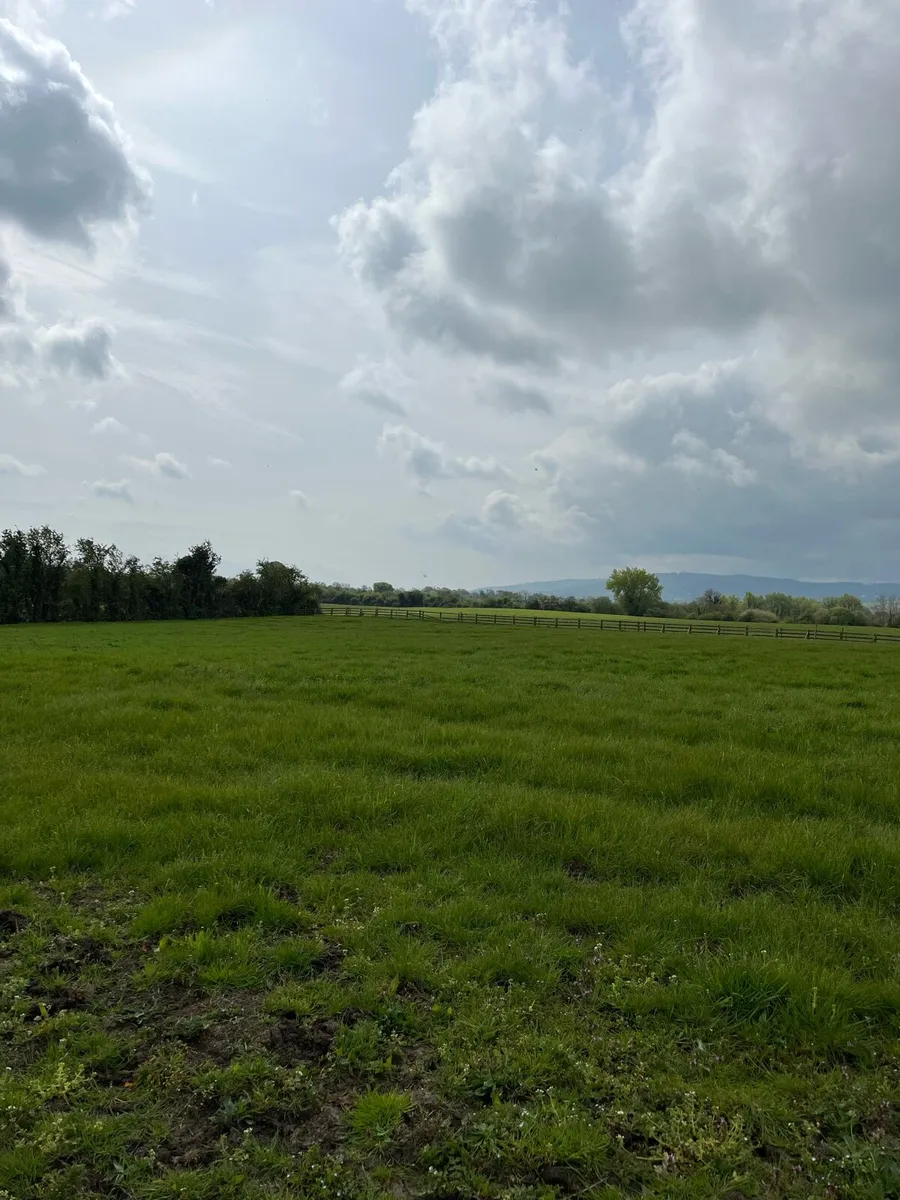 Summer grass livery - Image 2
