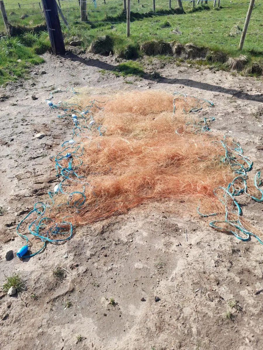 Trammel Nets - Image 1