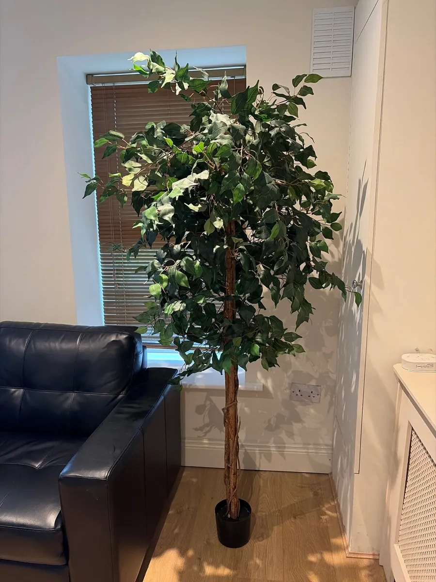 Indoor artificial plant