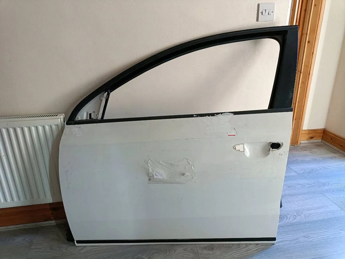 White passat left front door