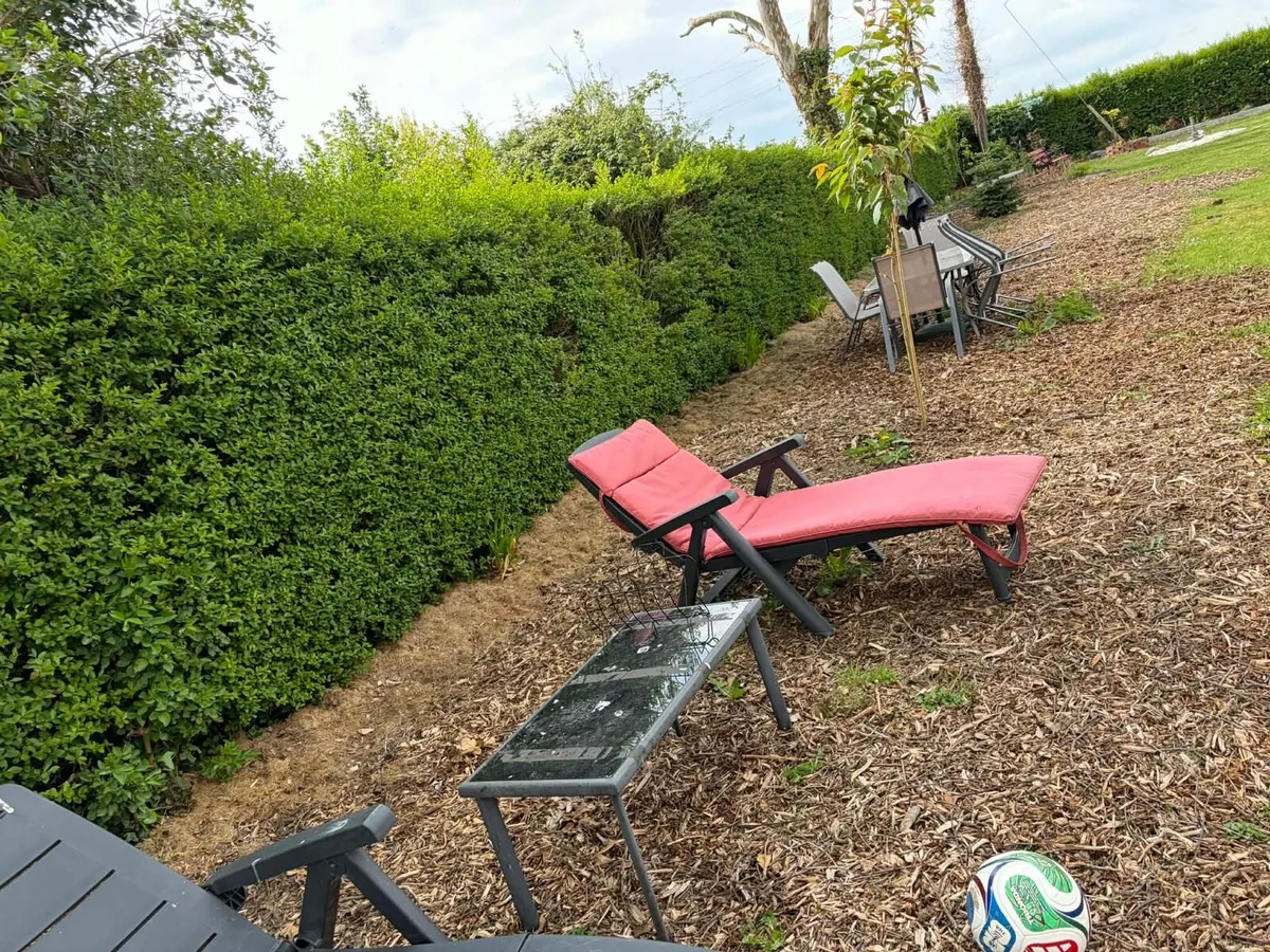 2 gardesun foldable chairs + 2 cushions + 1 table - Image 4