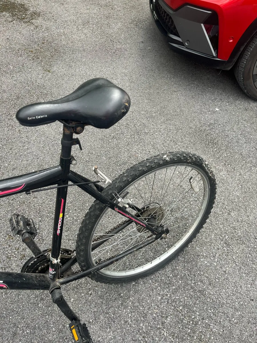 Bike - Image 2