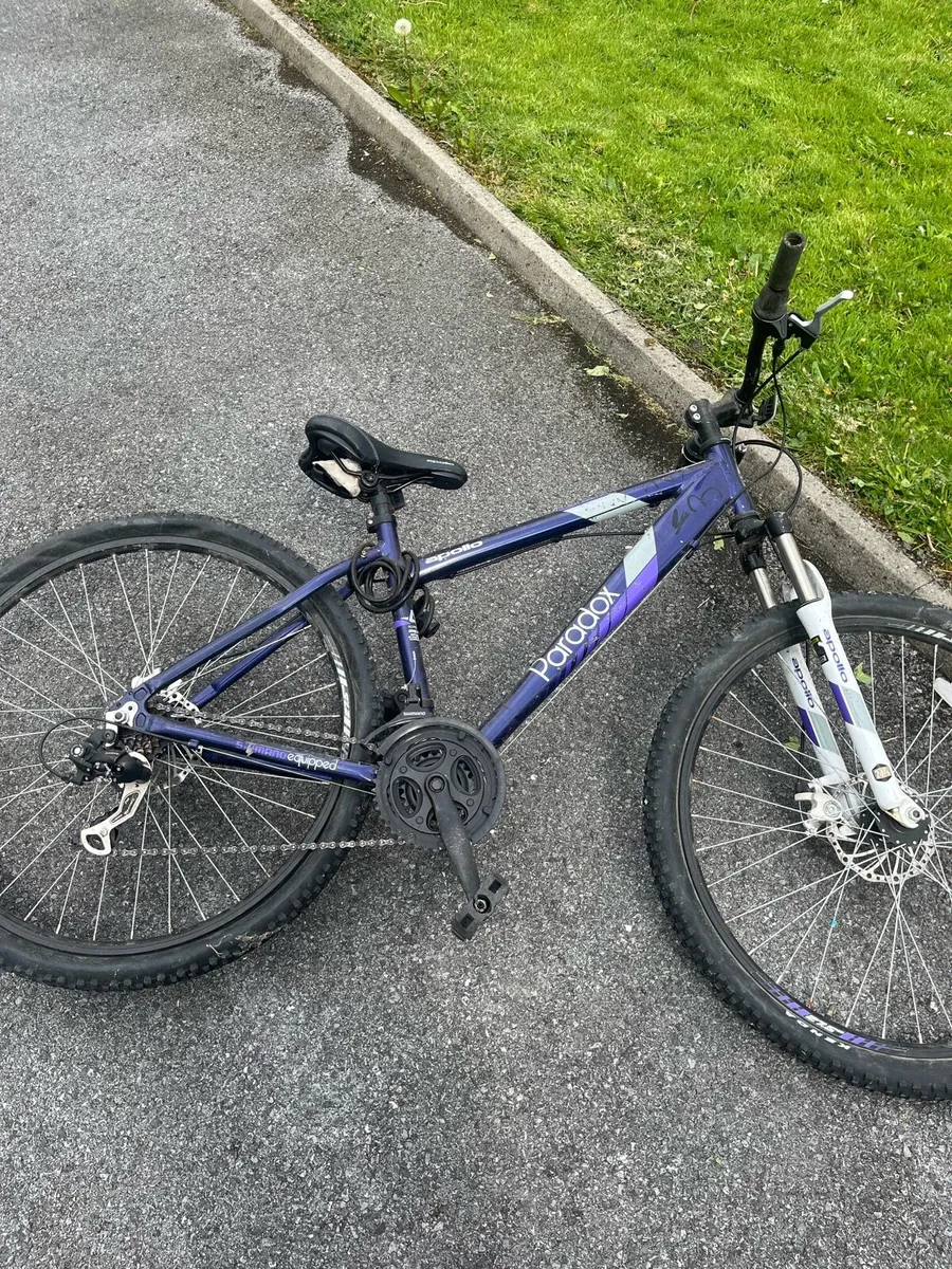 Mountain bike - Image 1