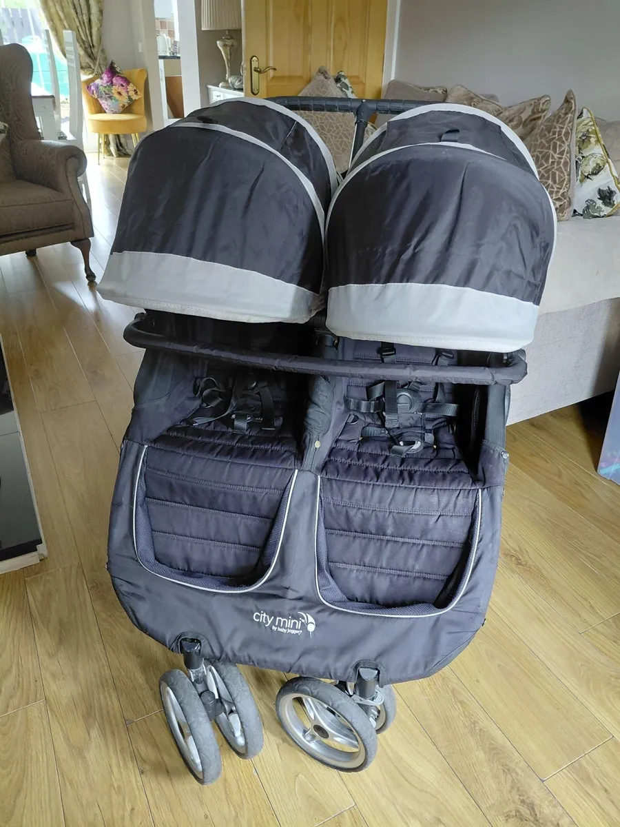 Double Buggy - Image 1